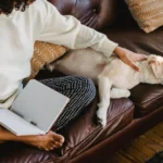 Arthrose chien : symptômes, traitements et soulagement