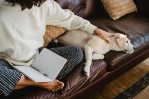 Arthrose chien : symptômes, traitements et soulagement