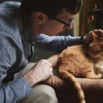 Chat qui vomit : que faire et quand consulter ?