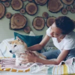 Tiques chez le chien : retrait, maladies à surveiller et prévention au quotidien