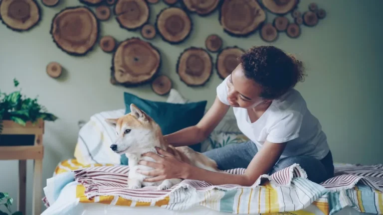 Tiques chez le chien : retrait, maladies à surveiller et prévention au quotidien