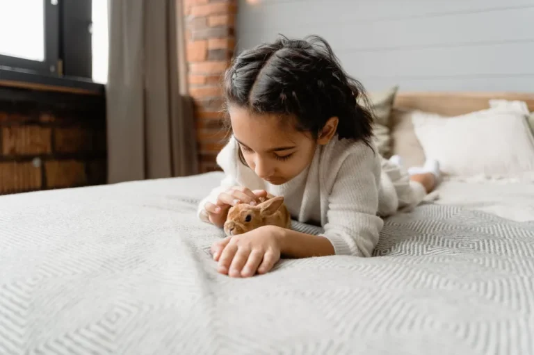 Mon lapin ne mange plus : quand s'inquiéter et que faire ?