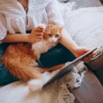 Pourquoi mon chat me suit partout ? Normal ou inquiétant