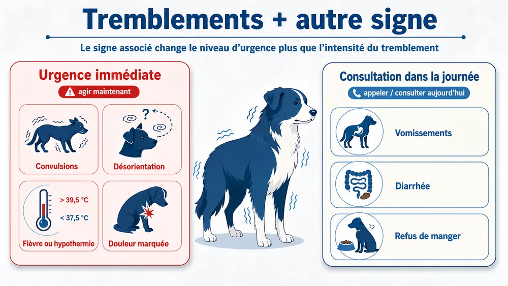 Tremblements + autre signe. Le signe associé change le niveau d’urgence plus que l’intensité du tremblement