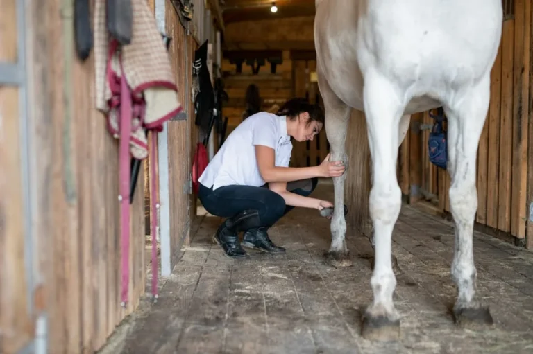 Boiterie cheval sans gonflement ni chaleur : quelles causes et que faire ?