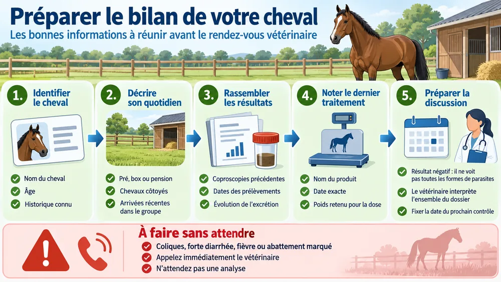 Préparer le bilan de votre cheval : les bonnes informations à réunir avant le rendez-vous vétérinaire
