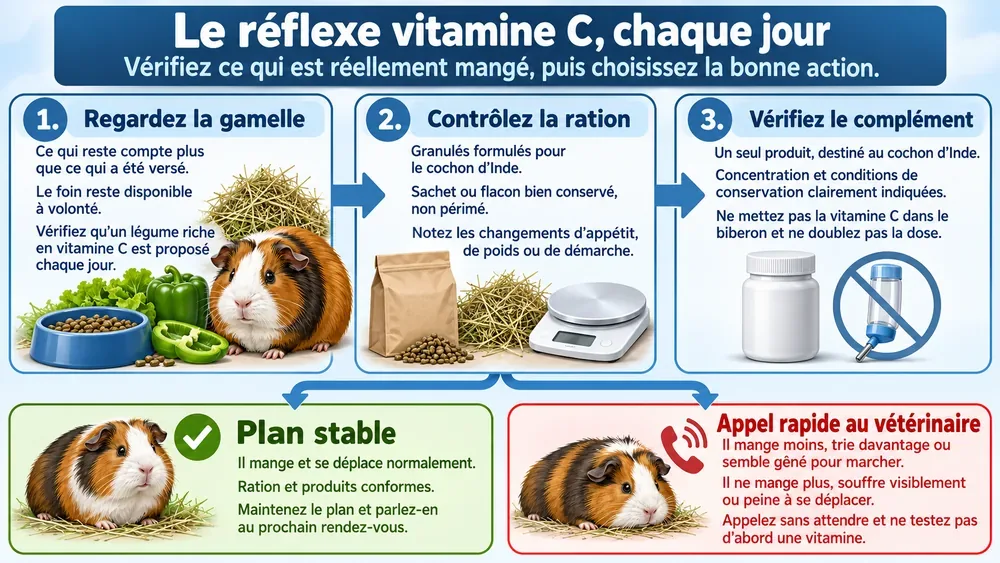 Le réflexe vitamine C, chaque jour : vérifiez ce qui est réellement mangé, puis choisissez la bonne action.